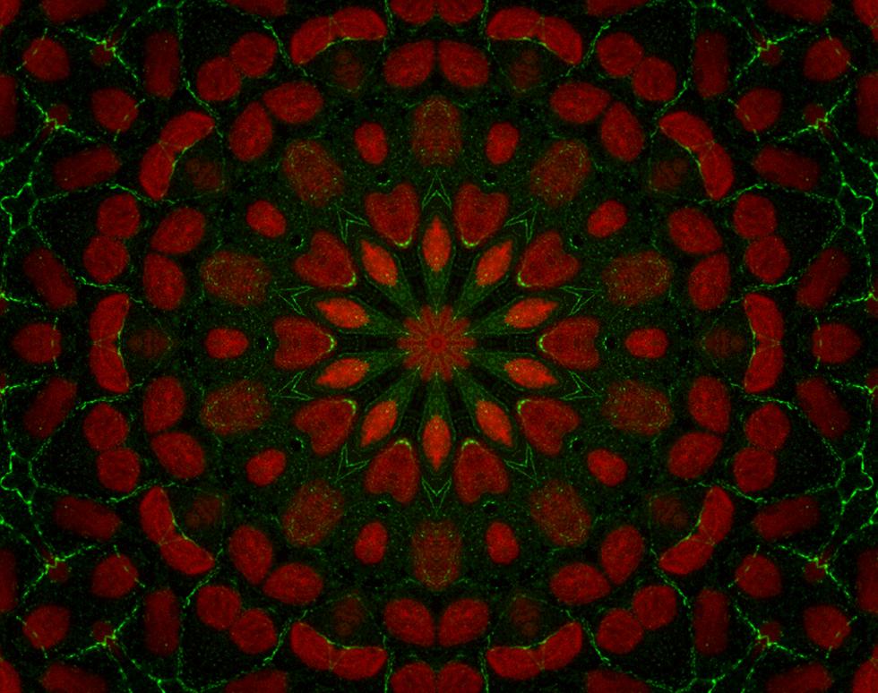 Kaleidoscope Junction - Karen Parker